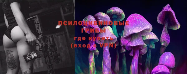 прущий лед Елизово