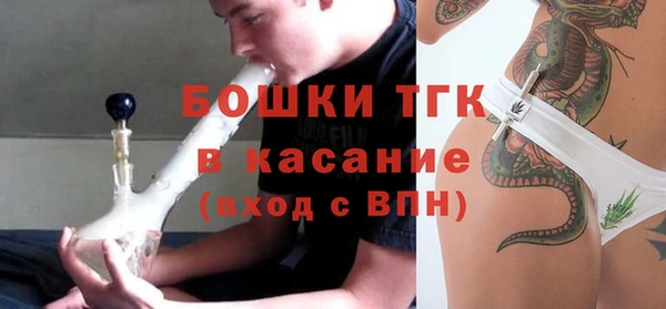прущие грибы Мамадыш