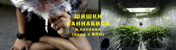 дживик Ельня