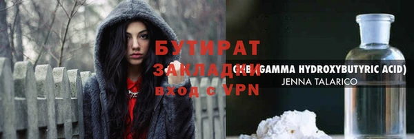 дживик Ельня