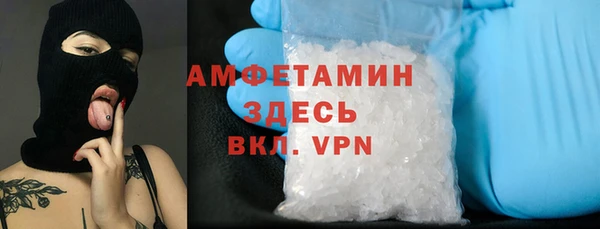 шишки Переславль-Залесский