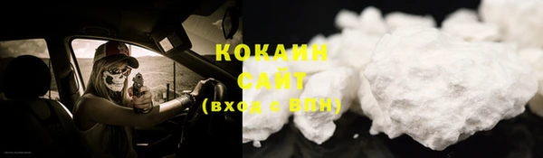 шишки Заволжск