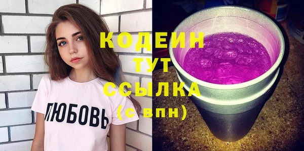 шишки Переславль-Залесский