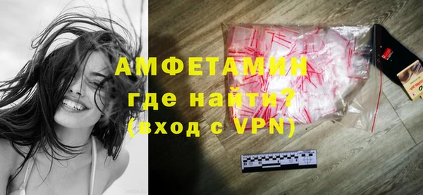 дживик Ельня