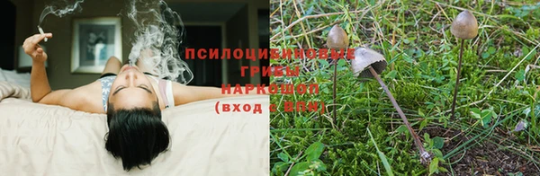бутик Заводоуковск