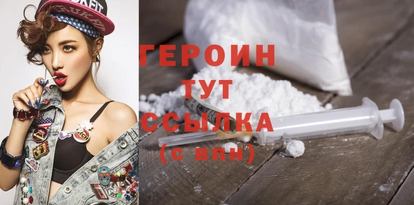 дживик Ельня