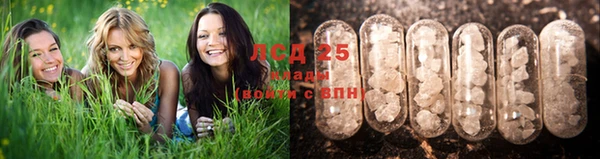 прущий лед Елизово